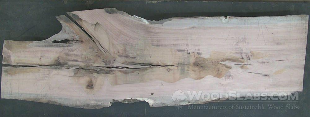 Laurel Oak Wood Slab #KG2-FIY-YUQK