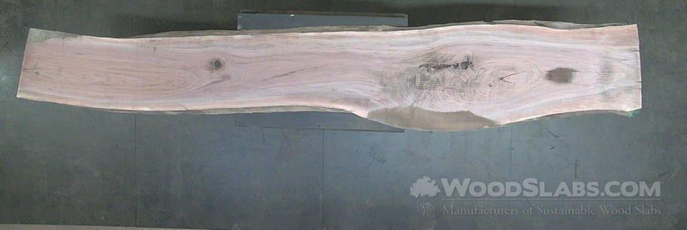 Walnut Wood Slab #2BT-I53-FC58