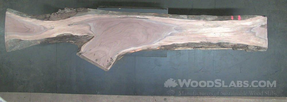 Walnut Wood Slab #M55-JZ1-D8SC