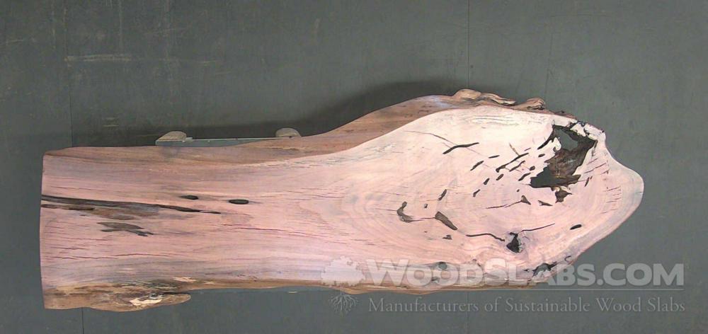 Laurel Oak Wood Slab #C1I-T3Z-4OND