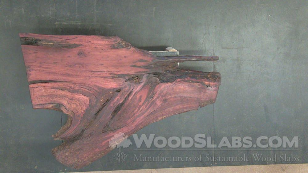 Eucalyptus Wood Slab #8F3-BQ1-T44L