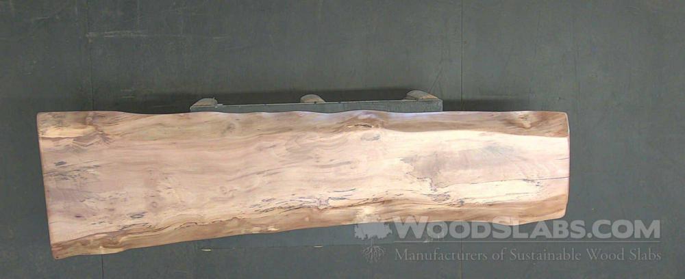Sycamore Wood Slab #1V3-59B-L3T2