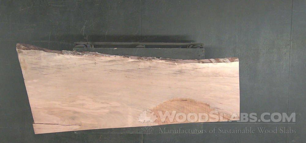 Sycamore Wood Slab #N89-SWR-9WHG