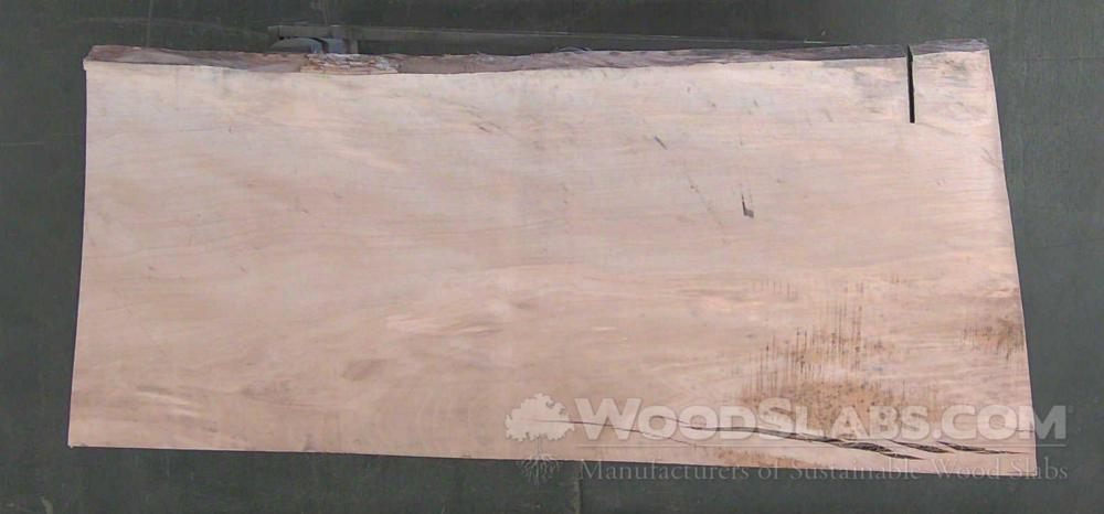 Sycamore Wood Slab #I58-E9M-8K40
