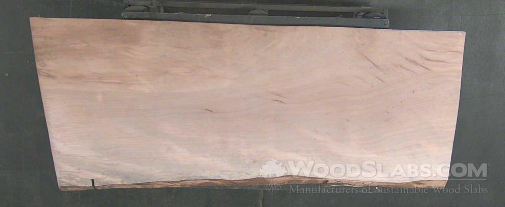 Sycamore Wood Slab #AQU-TBG-2L21