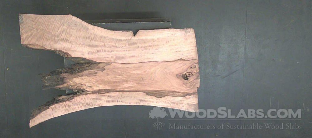 Mango Wood Slab #HNX-3XX-TEVR
