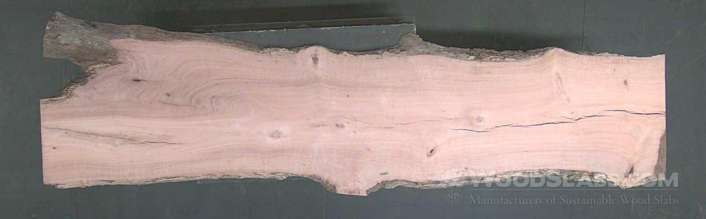 Australian Lacewood Wood Slab #52F-YDZ-K1RB