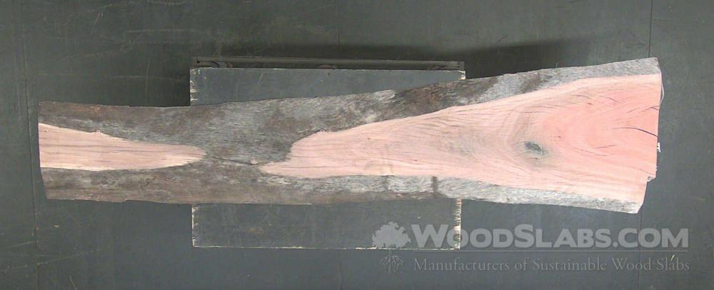 Eucalyptus Wood Slab #Y2U-DVX-TY6E