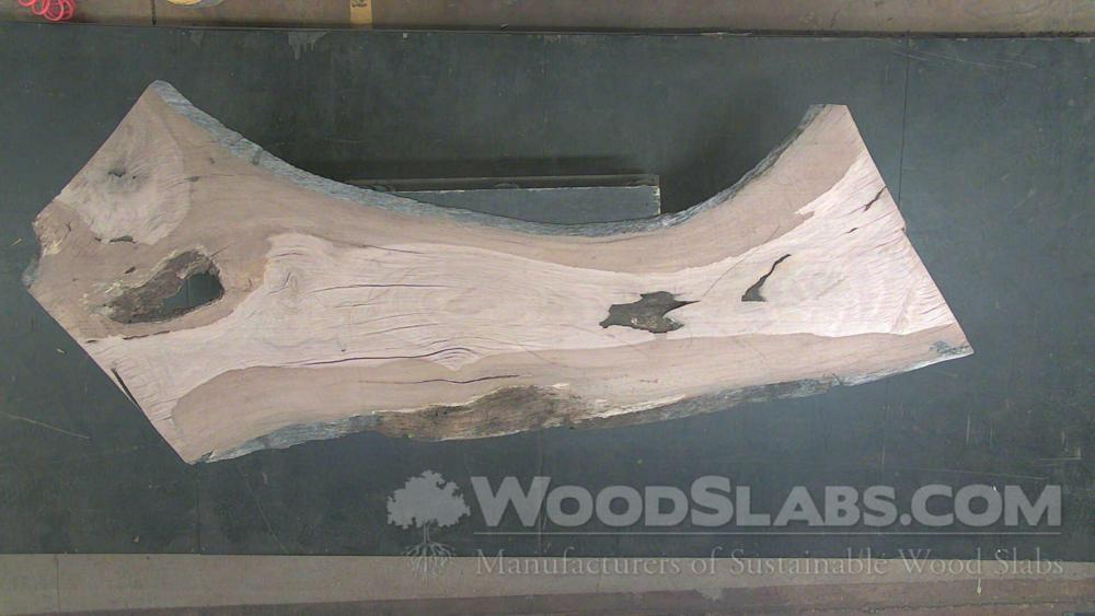 Live Oak Wood Slab #EFE-P5C-1AS6