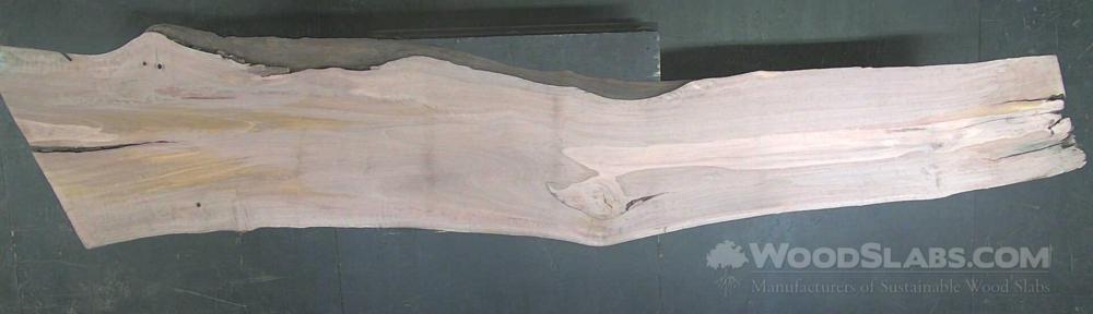 Laurel Oak Wood Slab #X3C-VFH-L0AW