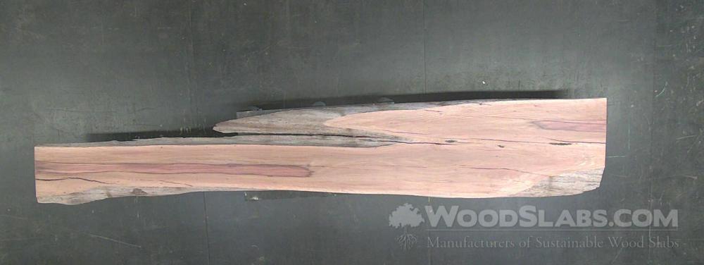 Australian Beefwood Wood Slab #T8I-P4B-0MSE