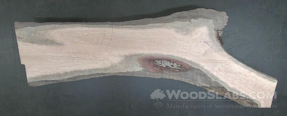 White Oak Wood Slab #10X-TRM-85RA