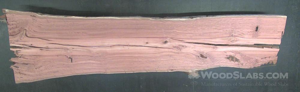 Eucalyptus Wood Slab #NTT-483-Q0U1