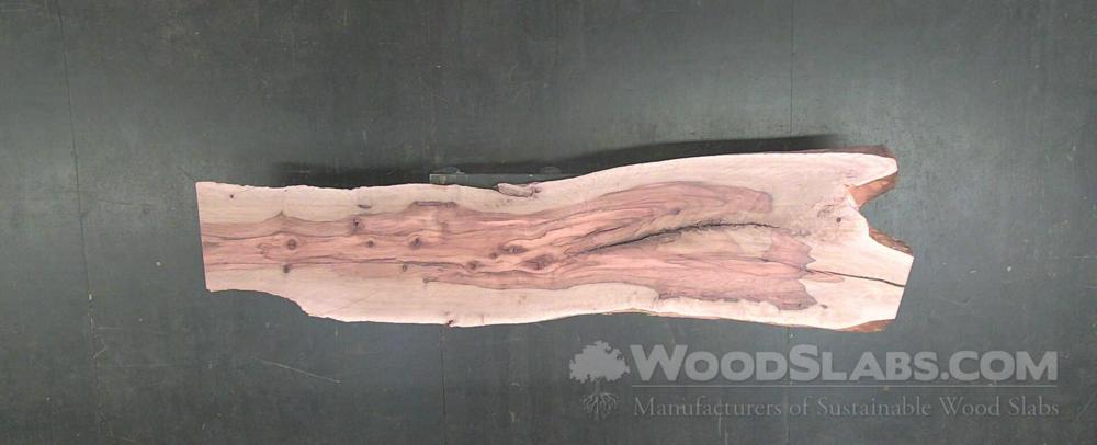Australian Beefwood Wood Slab #QUW-IYV-RHBF