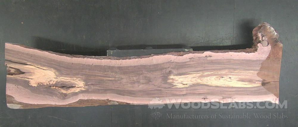 Australian Beefwood Wood Slab #S48-X7Z-8H5Y