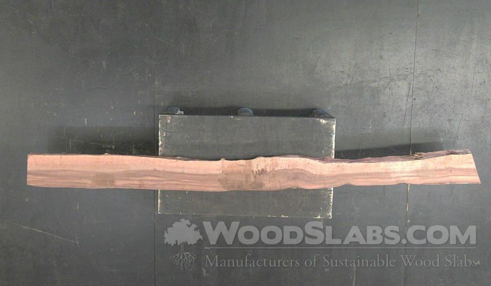 Australian Beefwood Wood Slab #XND-EPZ-2YAN