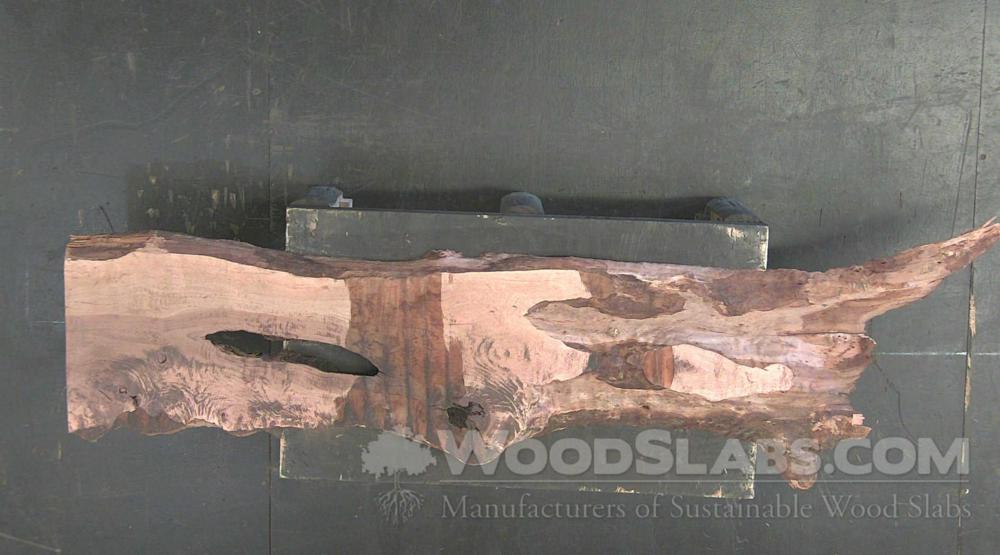Australian Beefwood Wood Slab #EDX-YQB-EG0C