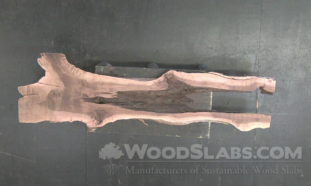 Australian Beefwood Wood Slab #V23-4E5-4BLH