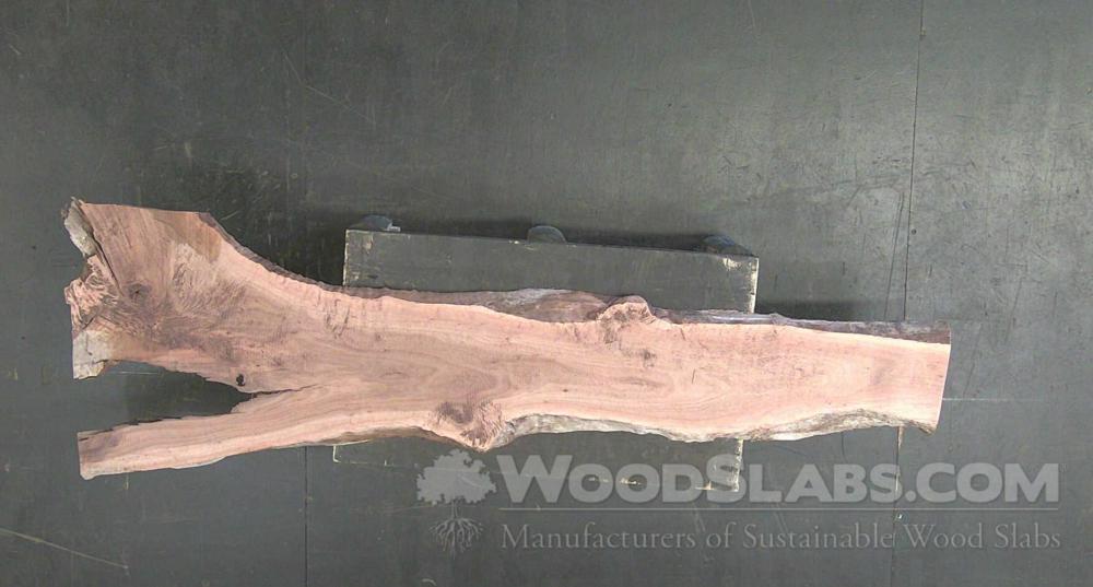 Australian Beefwood Wood Slab #6S1-20Q-YYL0