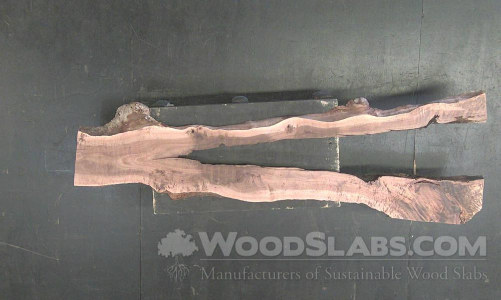 Australian Beefwood Wood Slab #EBR-HIJ-T6L9