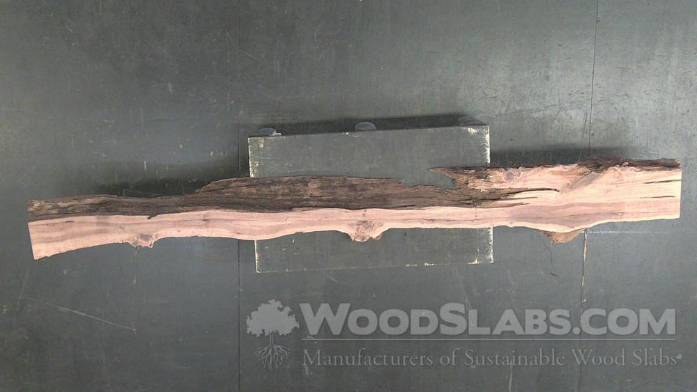 Australian Beefwood Wood Slab #2KQ-YJE-P6ES
