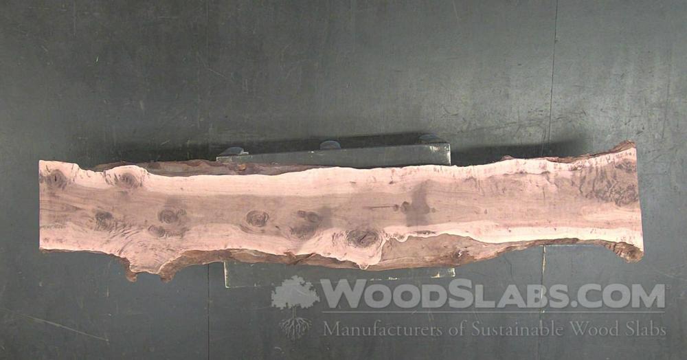 Australian Beefwood Wood Slab #S2O-QZJ-SGYE