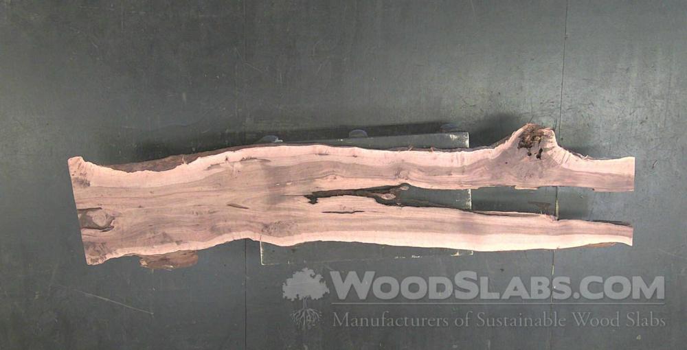 Australian Beefwood Wood Slab #RH1-LR0-D5AP