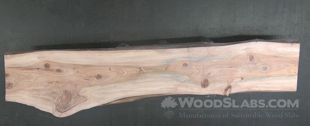Cypress Wood Slab #KQE-F9O-WU2Z