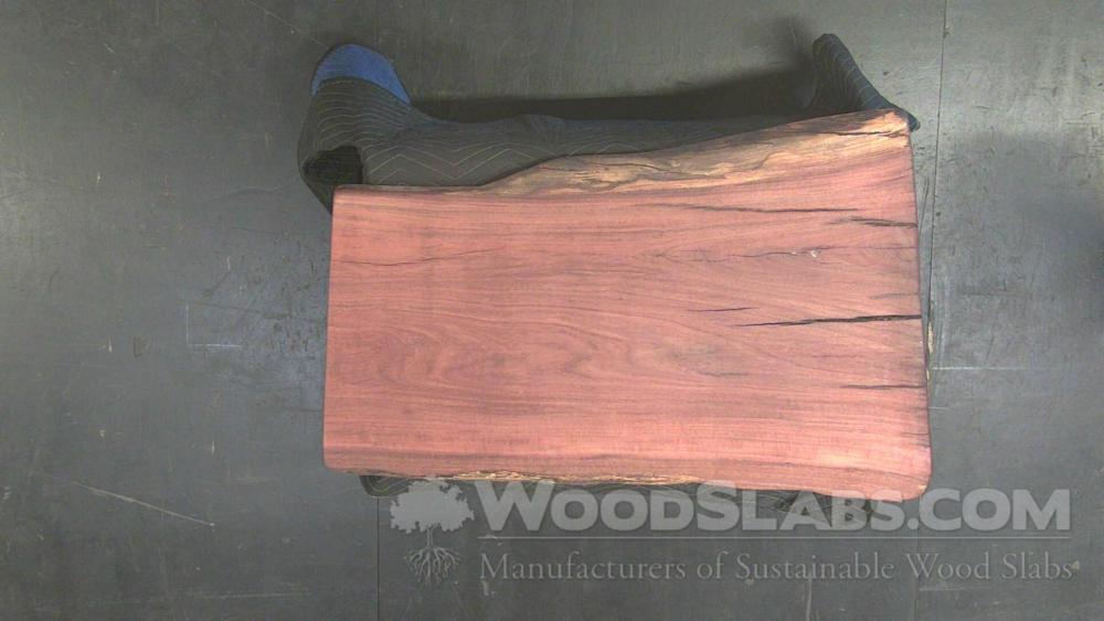 Eucalyptus Wood Slab #IQO-VM0-IWU3