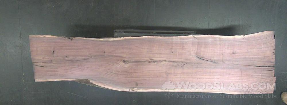 Walnut Wood Slab #S9Z-9SO-D6IW