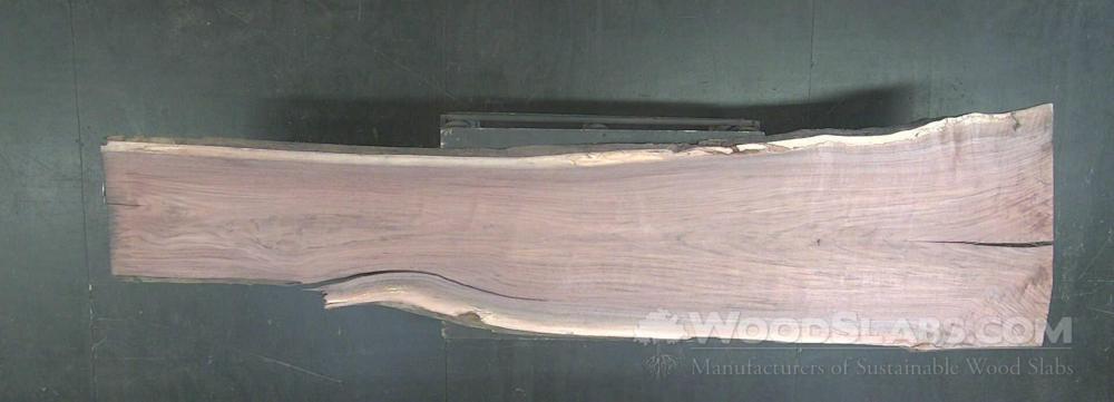 Walnut Wood Slab #MJ6-BX9-17M6