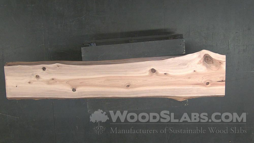 Cypress Wood Slab #DOV-L7M-LVKR