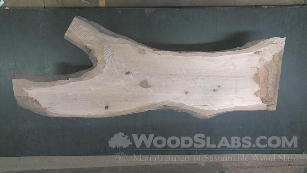 Live Oak Wood Slab #IEG-MIW-7FJH