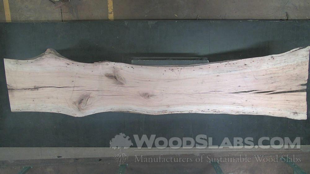 White Oak Wood Slab #9HB-110-3SPO