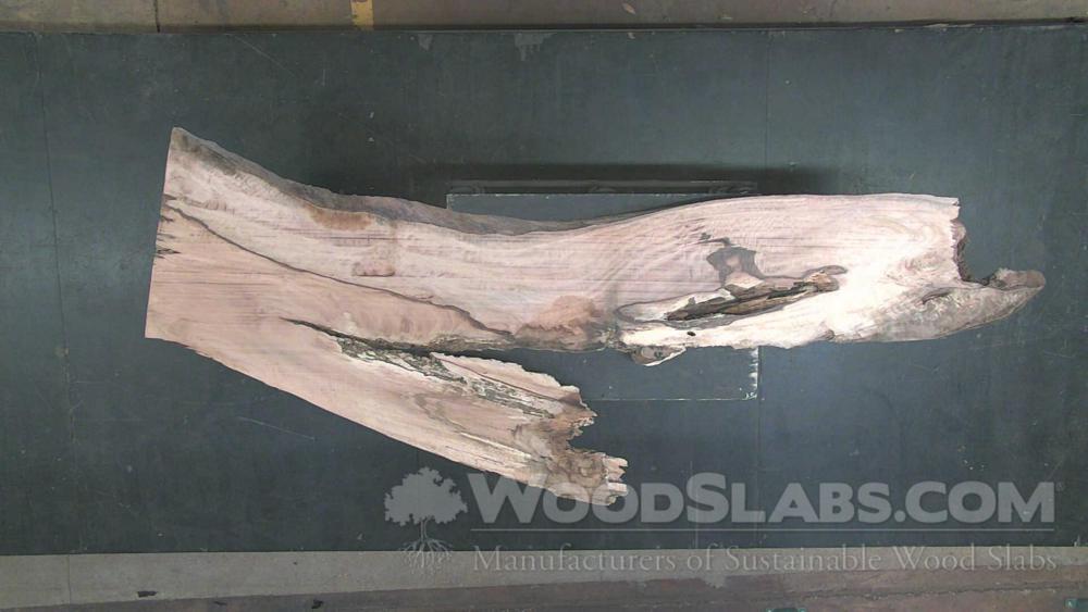 Hickory Wood Slab #79J-KHM-6DHK