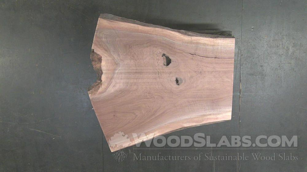 Walnut Wood Slab #V09-DG0-2JT9