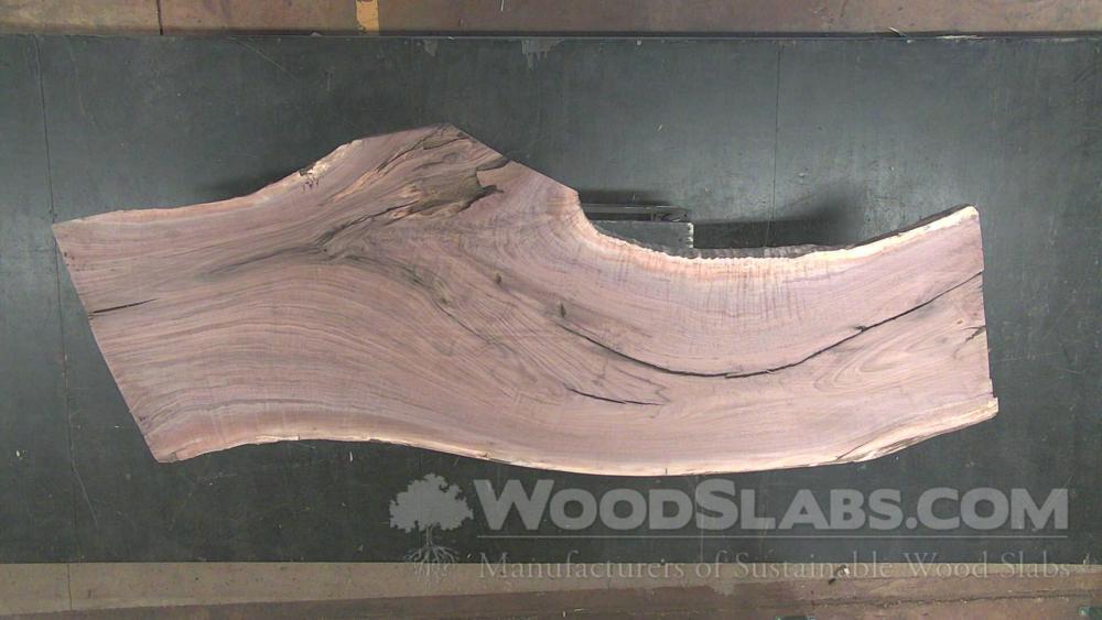 Walnut Wood Slab #U7E-RNU-2O5P