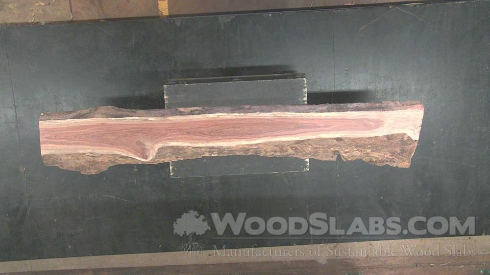 Itauba Wood Slab #SNE-TBS-B86P