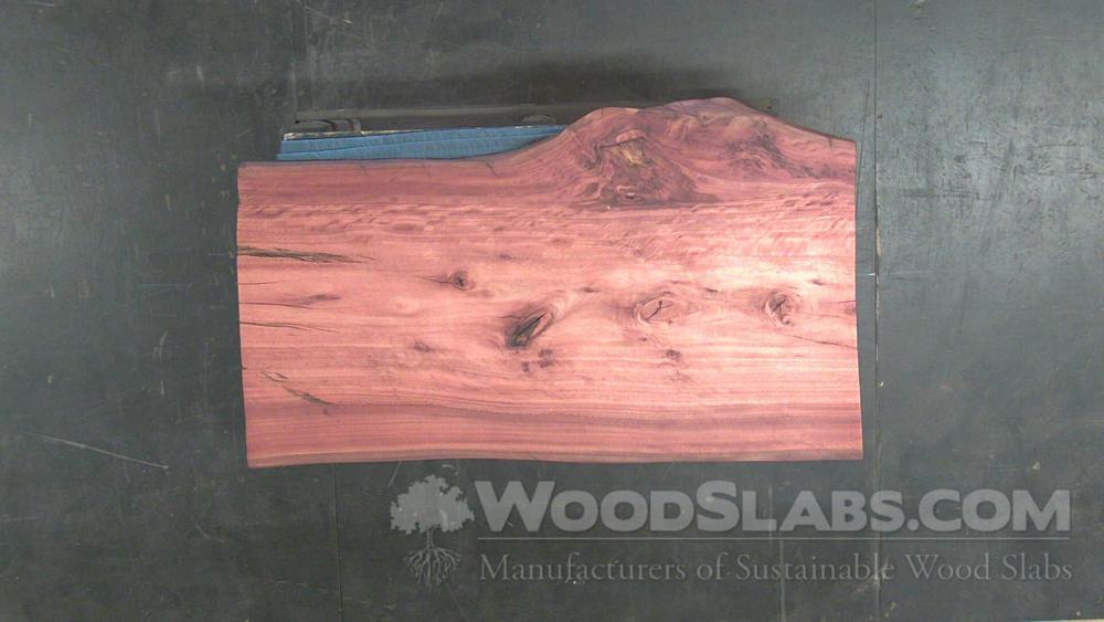 Eucalyptus Wood Slab #ZD5-KHN-HE9D