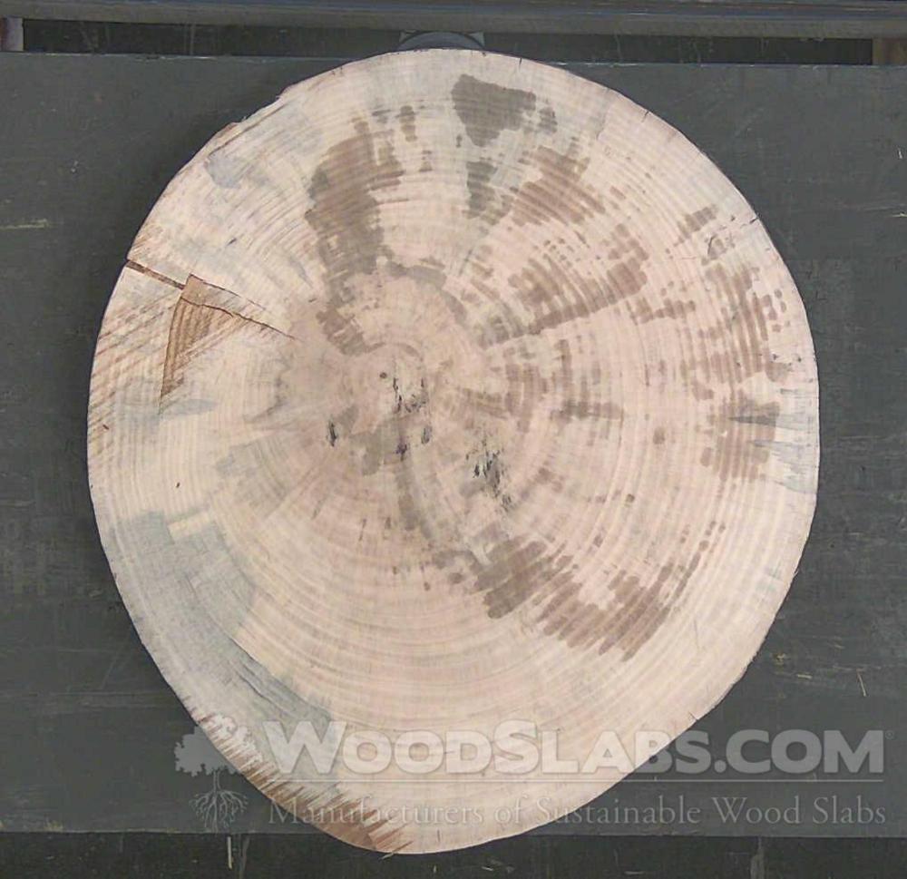 Norfolk Island Pine Wood Slab #Z2Y-SK9-2GSV