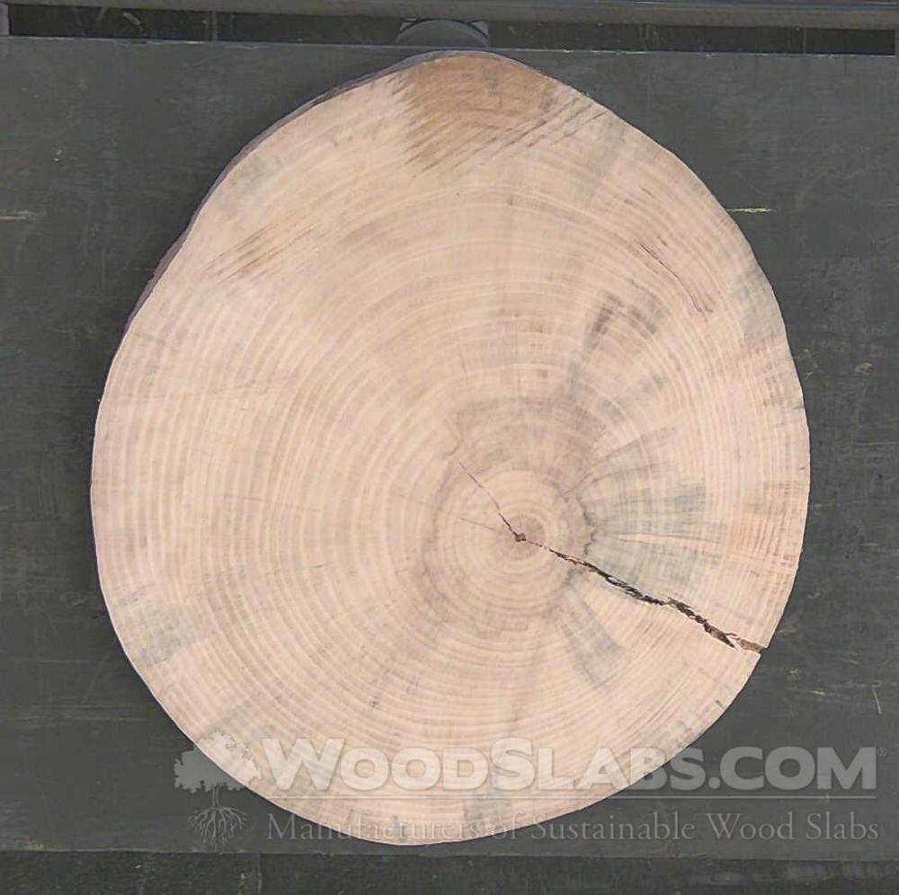 Norfolk Island Pine Wood Slab #PUY-I8M-E2LF