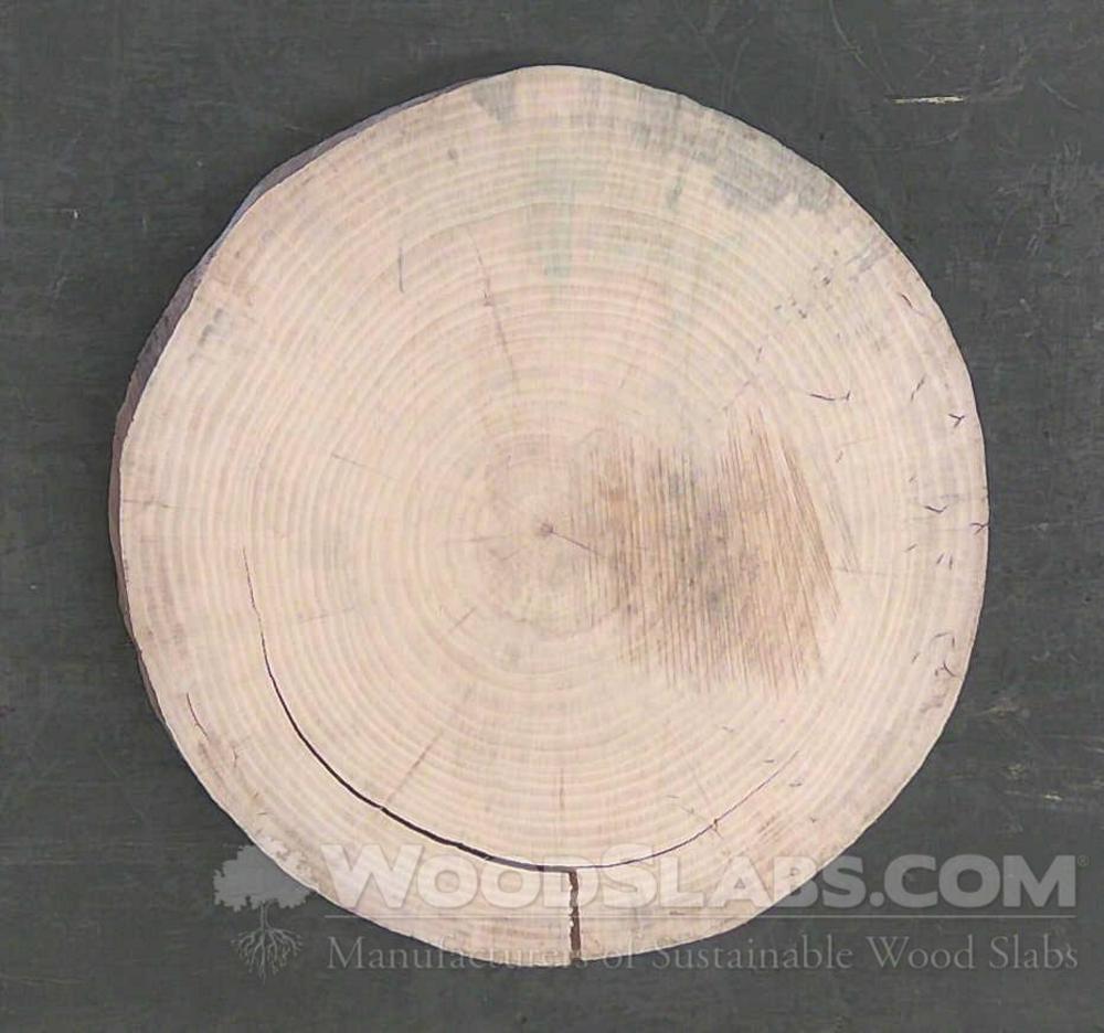 Norfolk Island Pine Wood Slab #3PC-VHD-JN51