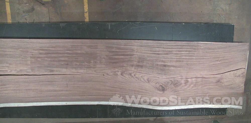 Parota Wood Slab #0LZ-I19-FYSA