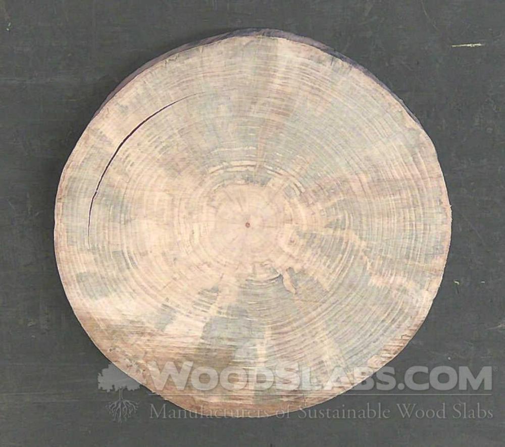 Norfolk Island Pine Wood Slab #GL3-QZ1-DTGO