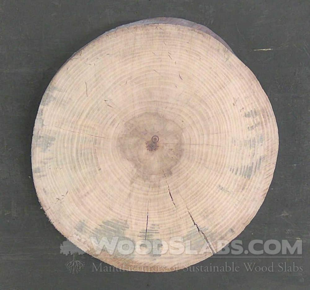 Norfolk Island Pine Wood Slab #3HU-RR6-934C