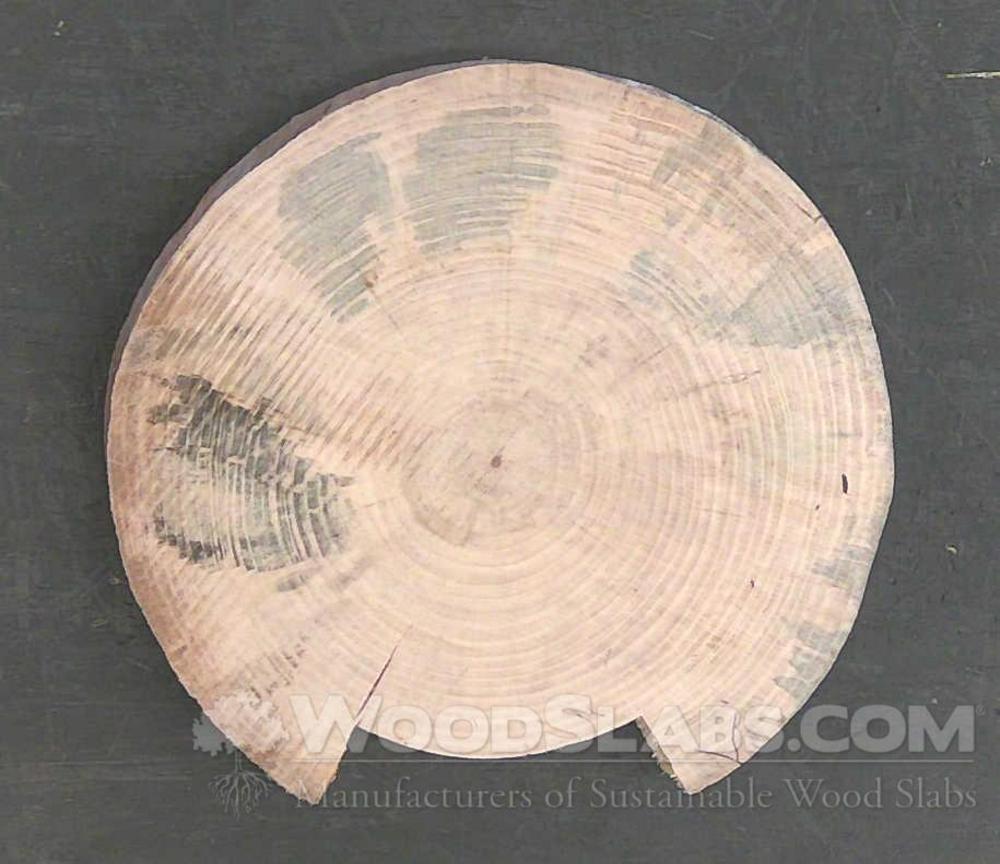 Norfolk Island Pine Wood Slab #SH0-152-RYV6