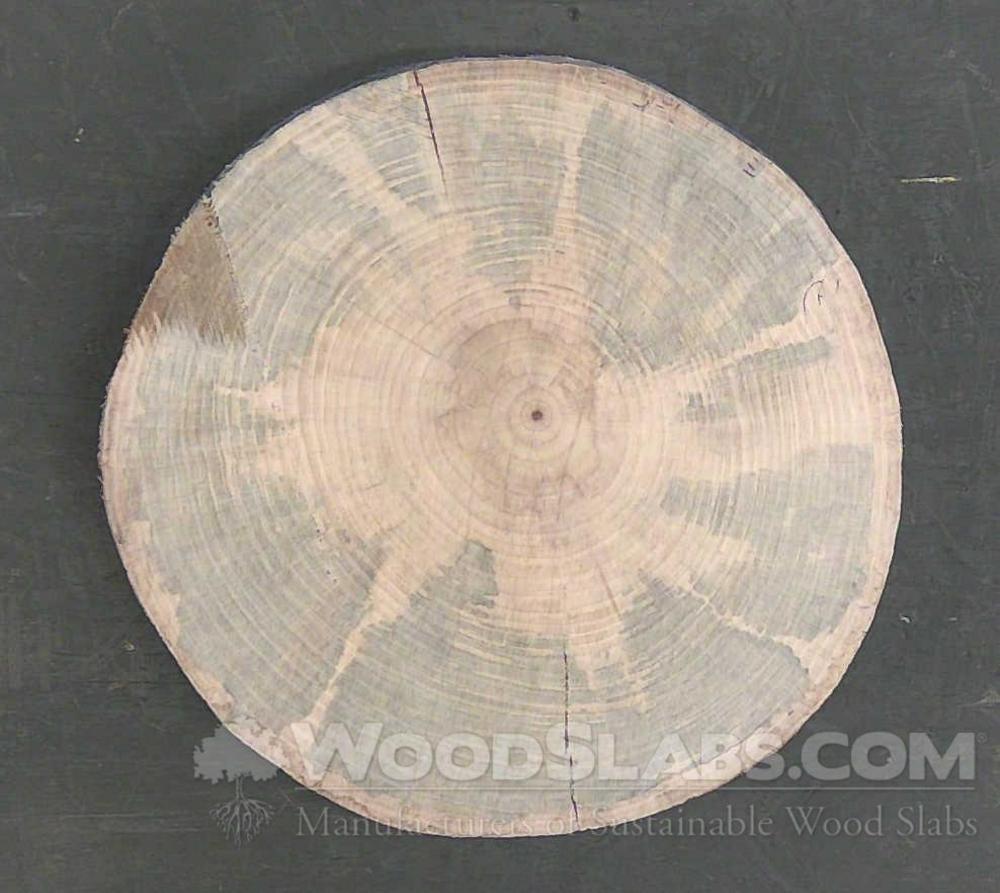 Norfolk Island Pine Wood Slab #OHI-P56-U8X8