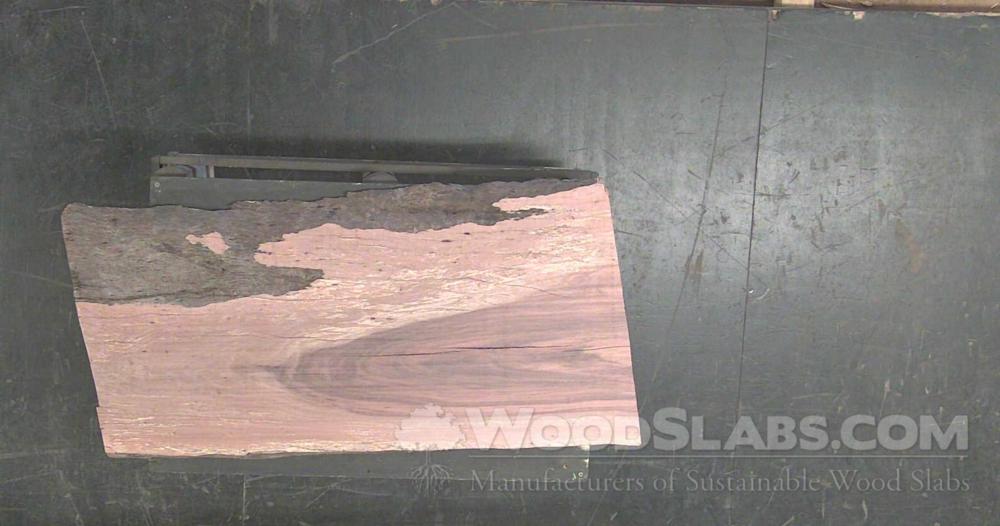 Australian Beefwood Wood Slab #LDO-HZR-53LH