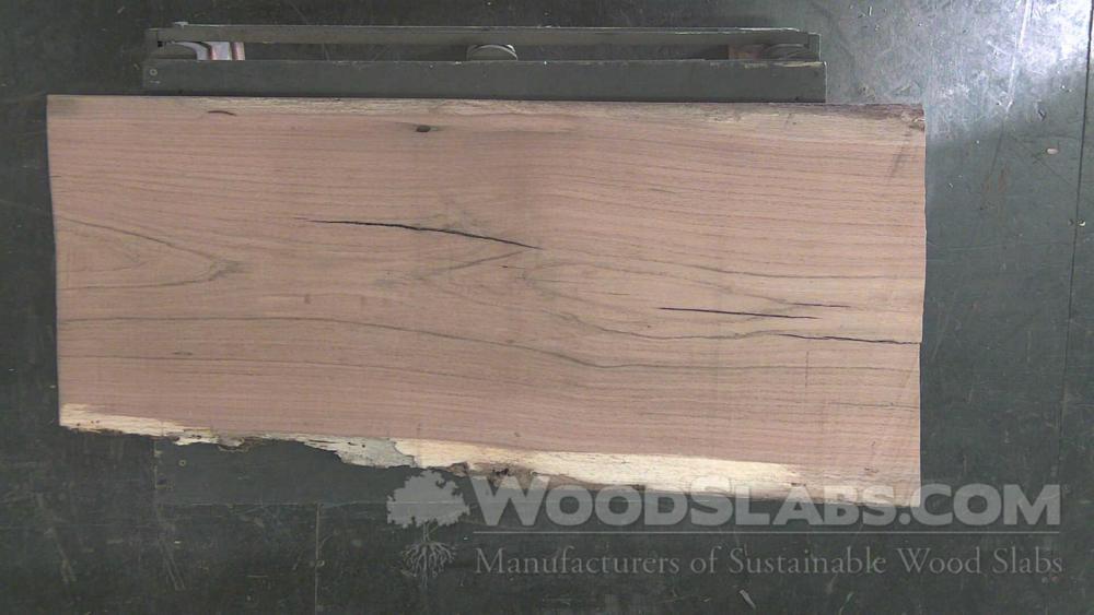 Laurel Oak Wood Slab #8Y0-11H-3APZ