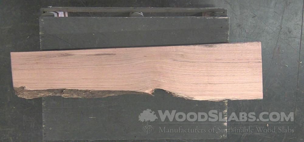 Laurel Oak Wood Slab #IYN-BC8-3ZA3
